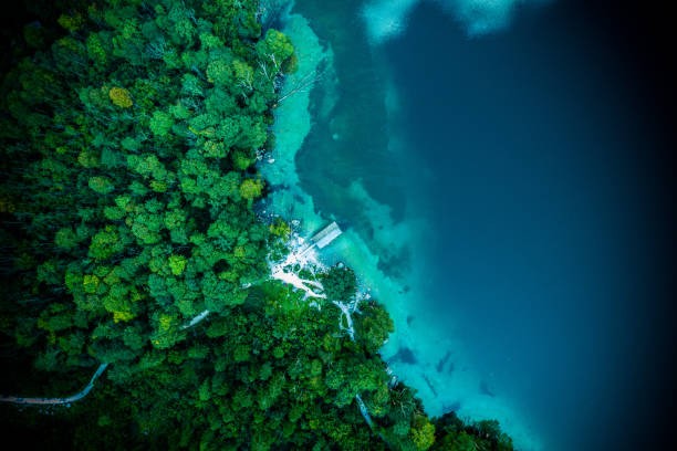 Beautiful Sea
